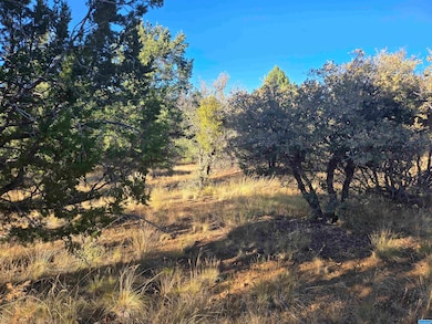 xxx Sanctuary Rd, Silver City, NM 88061 - photo 2