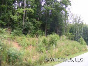 233 Baton Ln unit 10, Hendersonville, NC 28792 - photo 3