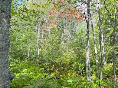 14599 N Whitefish Point Rd, Paradise, MI 49768 - photo 6