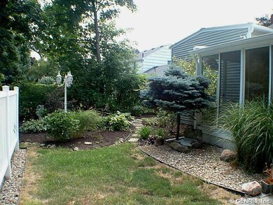 Backyard. Backyard nicely landscaped