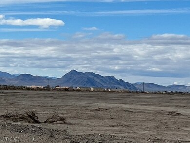 2790 Goldrush St, Pahrump, NV 89048 - photo 7