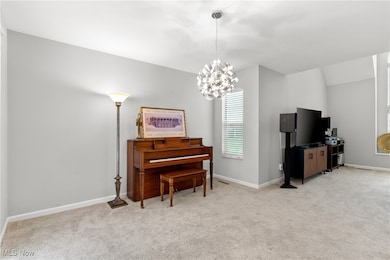 10253 Orchard Hill Ln unit 37-O, Twinsburg, OH 44087 - photo 5