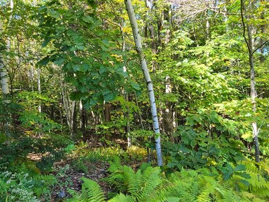00 Long Ridge Rd unit Lot 2 AKA Lot 22, Sanbornville, NH 03872 - photo 5