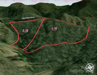 0 Red Wolf Run unit CAR4186741, Mars Hill, NC 28754 - photo 7