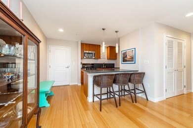 Audubon Park unit 409, Boston, MA 02215 - photo 5