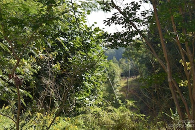 0 Highway 70 E, Nebo, NC 28761 - photo 6