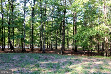 LOT 135 River Bend Dr, Paw Paw, WV 25434 - photo 7