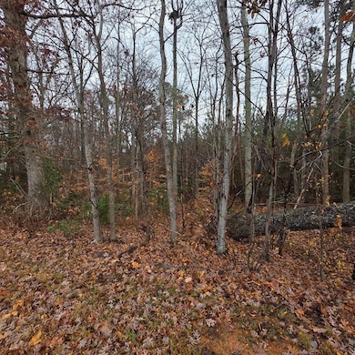 .62 acre Virginia 49, Chase City, VA 23924 - photo 3
