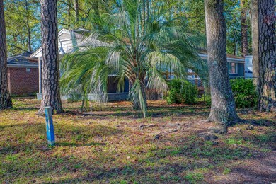 917 4th Ave N, Myrtle Beach, SC 29577 - photo 7