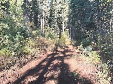 View of dirt / gravel road with a forest view