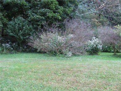 Yard/Garden.