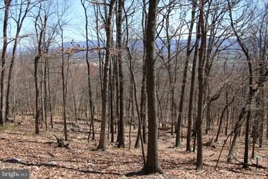 0 Back Rd unit VASH2003604, Toms Brook, VA 22660 - photo 3