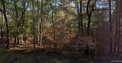 857 E Toledo Dr, Citrus Springs, FL 34434 - photo 2