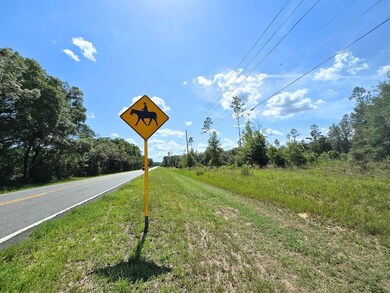 7103 N Lecanto Hwy, Citrus Hills, FL 34442 - photo 6