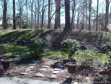 Very private wooded backyard