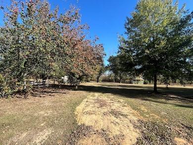 816 N Broad St, Cowarts, AL 36321 - photo 3