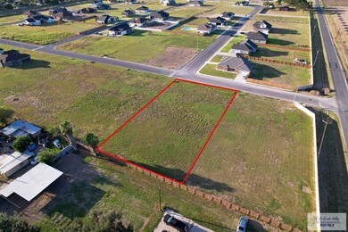 905 Daniel Ln, Weslaco, TX 78599 - photo 6