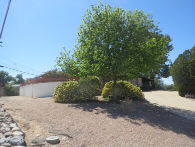 Mature Landscaping