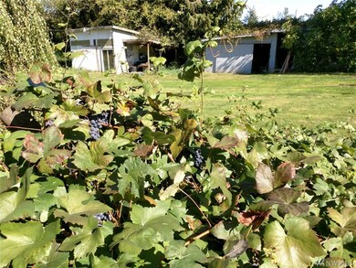 184 E Smith Rd, Bellingham, WA 98226 - photo 4