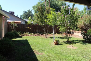 Beautiful back yard