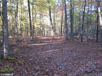 0 Gary Rd unit 1305640, Lunenburg, VA 23944 - photo 5