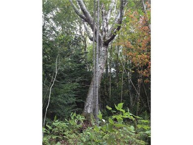 Land/Lot. Representative of lots in...