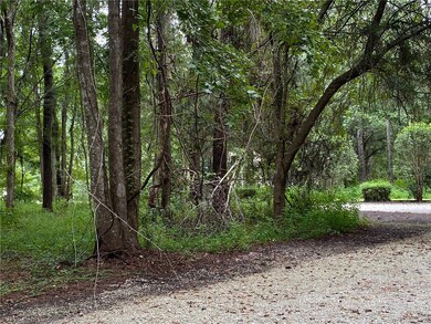 00 Pelican Point, Darien, GA 31305 - photo 7