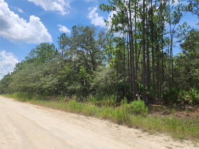 Road Facing West