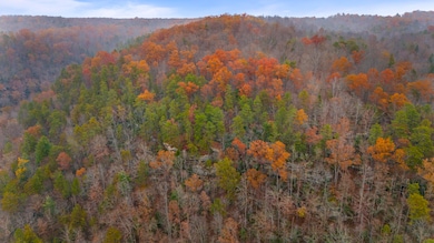 DJI_20251110133823_0019_D