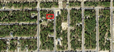 9918 N Santee Terrace, Citrus Springs, FL 34433 - photo 2