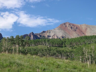 P6290209