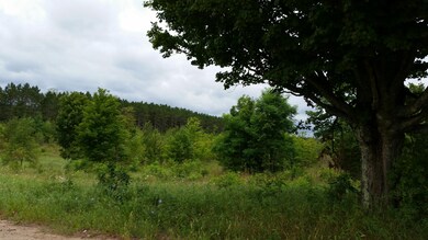 20150824_124939_resized