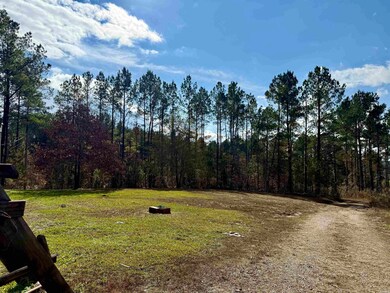 2470 Arkansas 84, Amity, AR 71921 - photo 2