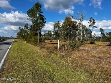 00 Jarrott Daniels Rd, Wewahitchka, FL 32465 - photo 7
