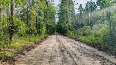 Sparks Lane SC Land for Sale-2