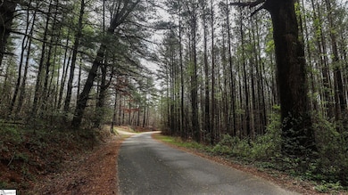 23 Belk Rd, Travelers Rest, SC 29690 - photo 6