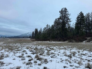 31625 Hume Rd, Davenport, WA 99122 - photo 7