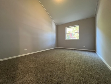 542 E Downer Place, Aurora, IL 60505 - photo 7