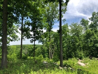 Lots R,1&2 Waite Corner & Collins Rd, North Brookfield, MA 01535 - photo 3