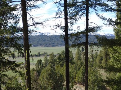 Lovely View Overlooking Long Valley