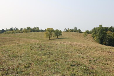 1272-X Moorefield Rd, Carlisle, KY 40311 - photo 2