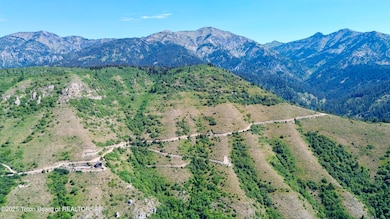 LOTS 17-21 Shady Ln, Irwin, ID 83428 - photo 7