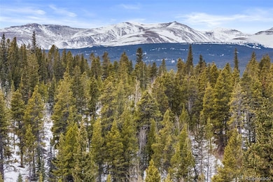 0 Beaver Creek Rd unit REC9026847, Alma, CO 80420 - photo 4