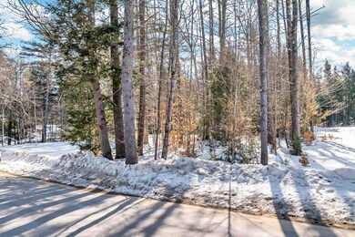 Off Durell Rd, Tamworth, NH 03886 - photo 6