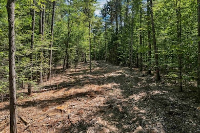 617 & 619 Route 103a Map 91 Lot 37 38, New London, NH 03257 - photo 7