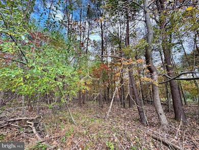 0 Whitetail Dr, Berkeley Springs, WV 25411 - photo 7