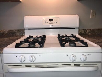 Gas Stove