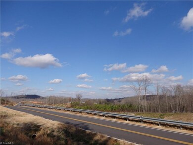 0 Lewis Thomas Rd, Grant, NC 27205 - photo 4