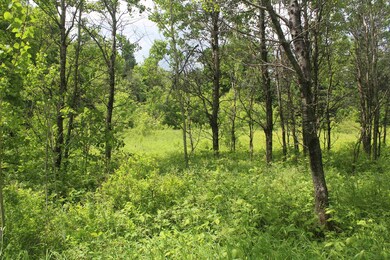 0 Cobb Rd unit 5046229, Walden, VT 05873 - photo 3