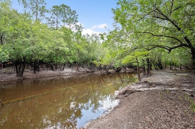 0 Roberson Rd, Hortense, GA 31543 - photo 7